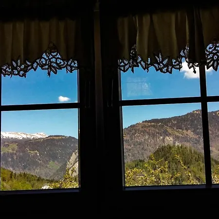 Swiss Holiday House *