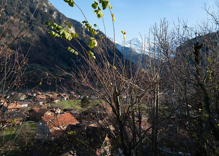 Tatil Evi Swiss House Wilderswil
