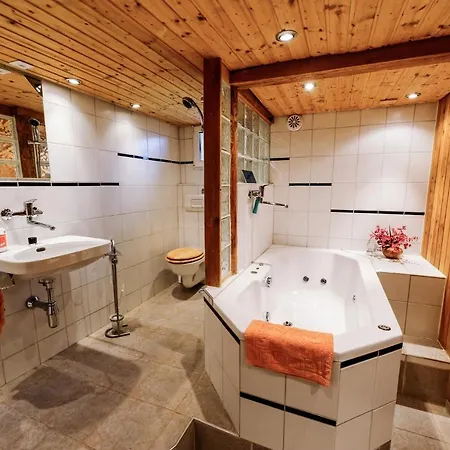 Vakantiehuis Swiss House